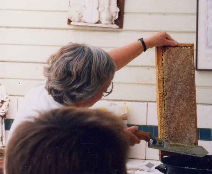 A woman is working on a bee hive.