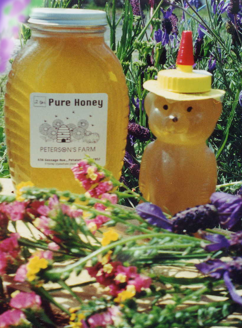 A bear shaped honey bottle and flower arrangement.